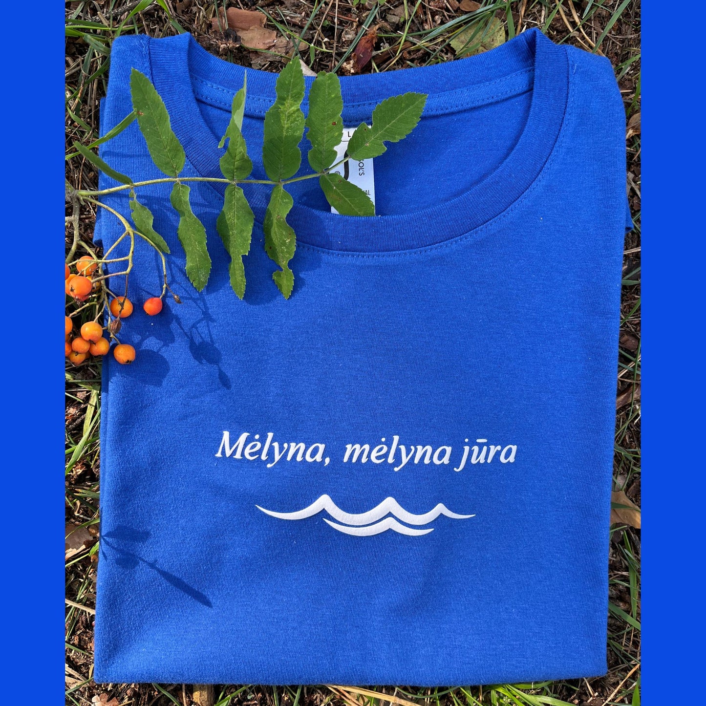 🌊 Maikutė "Mėlyna, mėlyna Jūra!" 💙